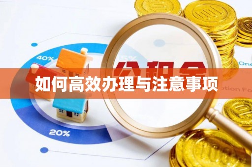 红安如何高效办理与注意事项