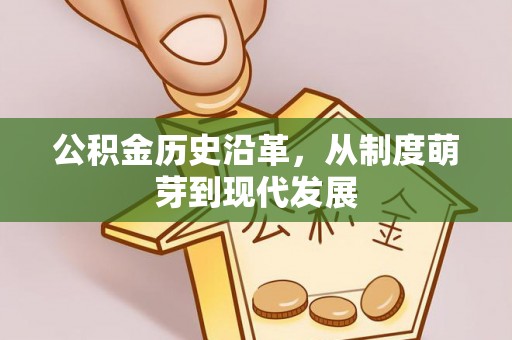 红安公积金历史沿革，从制度萌芽到现代发展