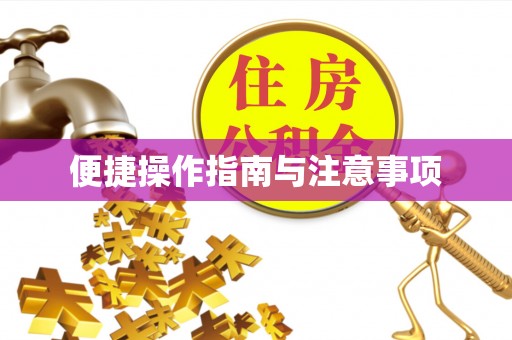 红安便捷操作指南与注意事项