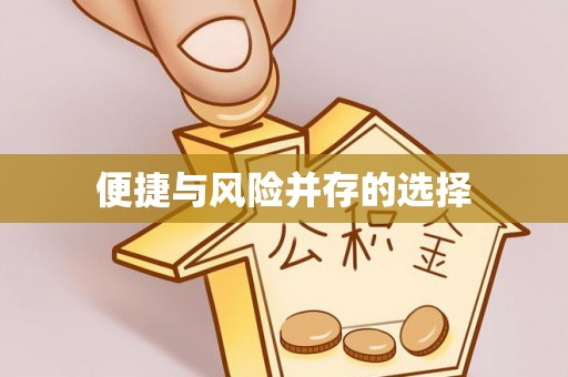红安便捷与风险并存的选择