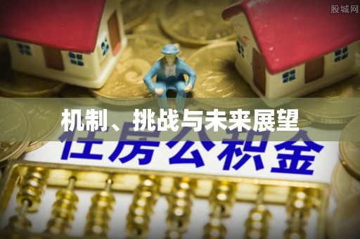 红安机制、挑战与未来展望